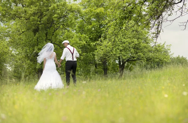 Schönes Hochzeitspaar — Stockfoto