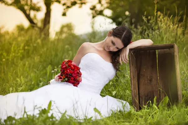 Hermosa pareja de boda — Foto de Stock