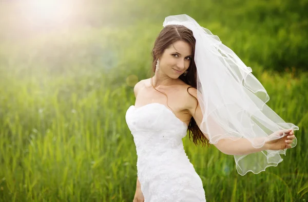 Schönes Hochzeitspaar — Stockfoto