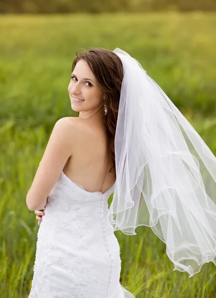 Beautiful wedding couple — Stock Photo, Image