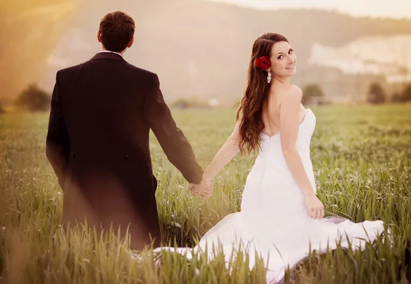 Beautiful wedding couple — Stock Photo, Image