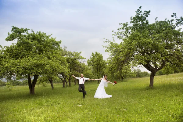 美しい結婚式のカップル — ストック写真