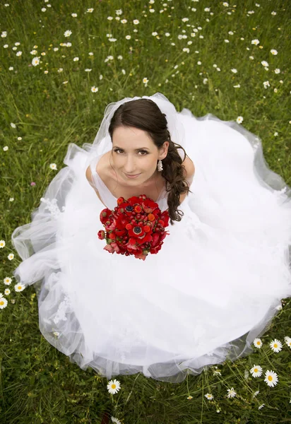 Schönes Hochzeitspaar — Stockfoto