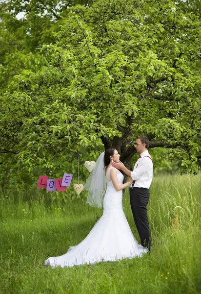 美しい結婚式のカップル — ストック写真