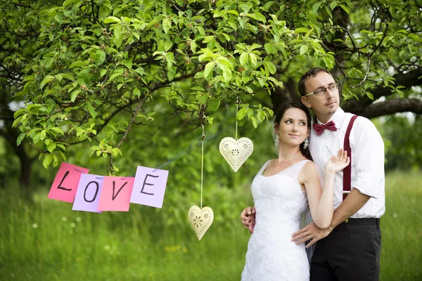 Beautiful wedding couple — Stock Photo, Image