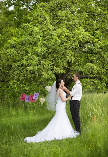 Schönes Hochzeitspaar — Stockfoto