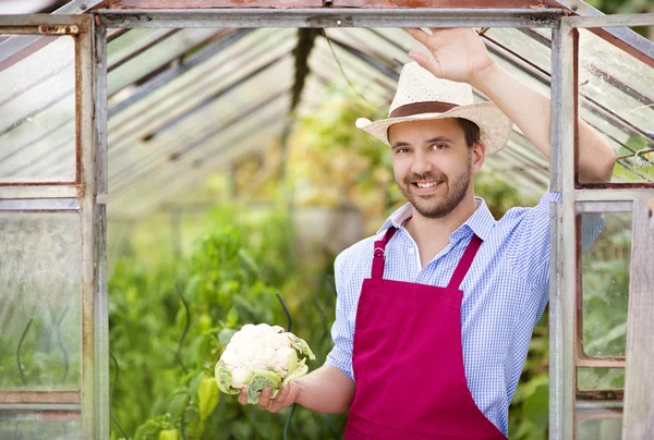 Trädgårdsmästare — Stockfoto