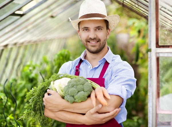 Gärtner — Stockfoto