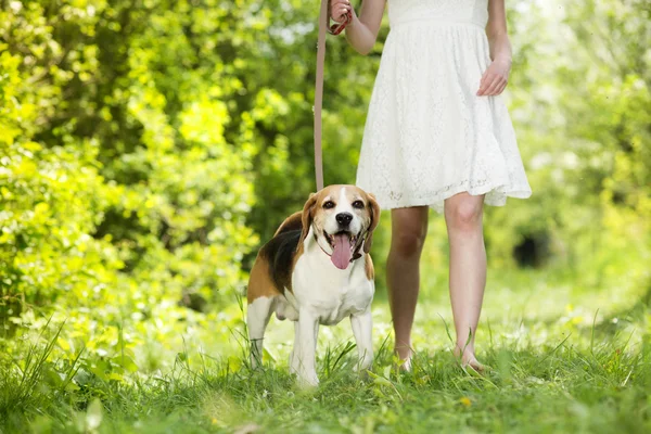 Kvinna med hund — Stockfoto