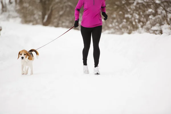 Vrouw met hond — Stockfoto