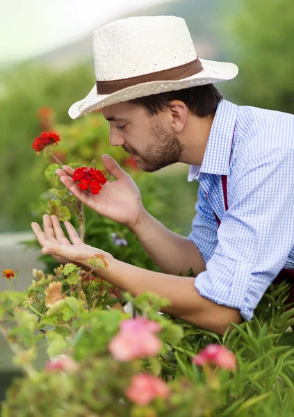 Gardener — Stock Photo, Image