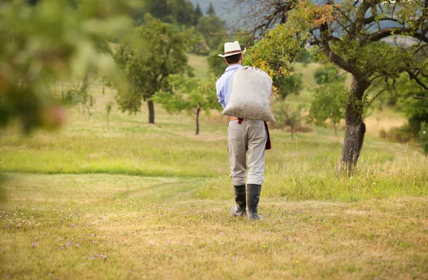 Gardener — Stock Photo, Image