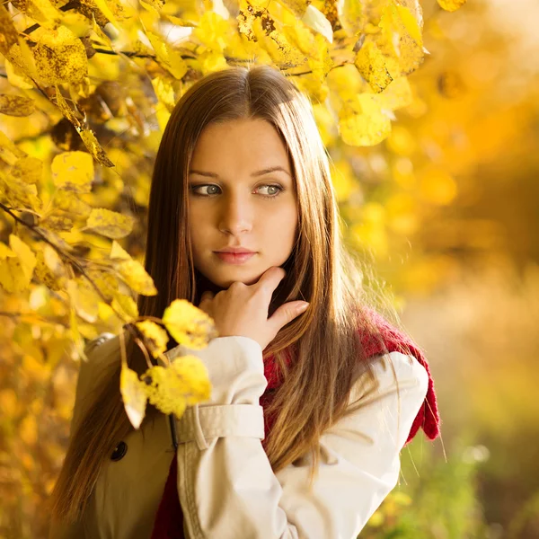 Восени дівчата — стокове фото