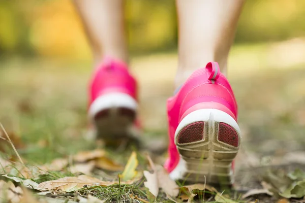 Autumn runner — Stock Photo, Image