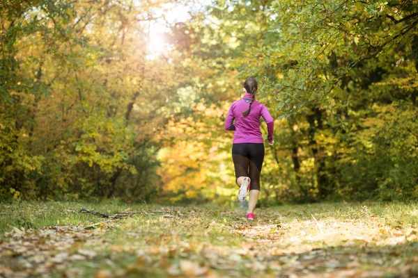 Herbstläufer — Stockfoto