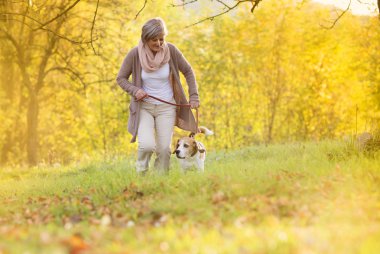 Köpek Yürüyüşü