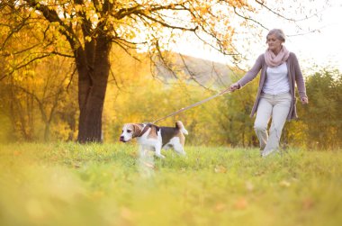 Köpek Yürüyüşü