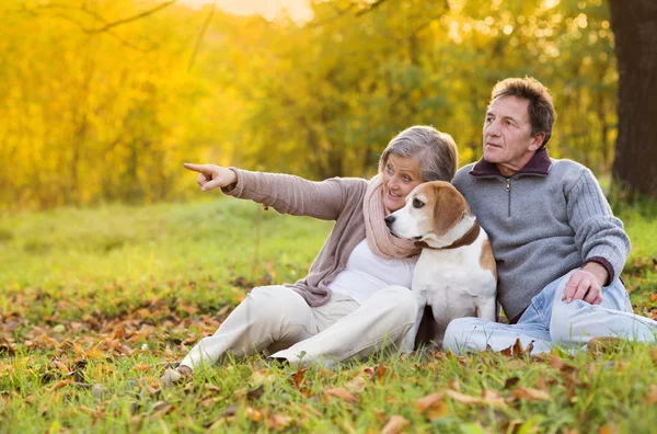 Seniors with dog — Stock Photo, Image