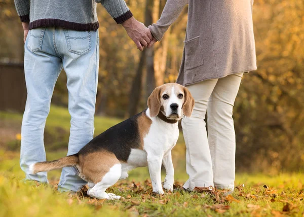 Seniors with dog — Stock Photo, Image