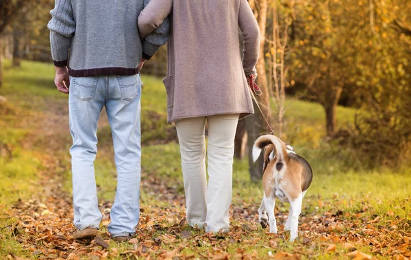 Seniorzy z psem — Zdjęcie stockowe