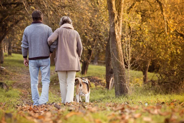 Seniors με σκύλο — Φωτογραφία Αρχείου