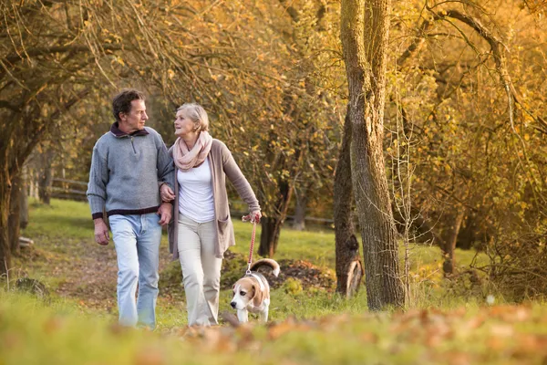 Seniors with dog — Stock Photo, Image