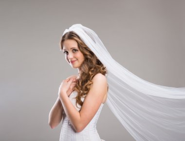 Beautiful Bride with veil clipart