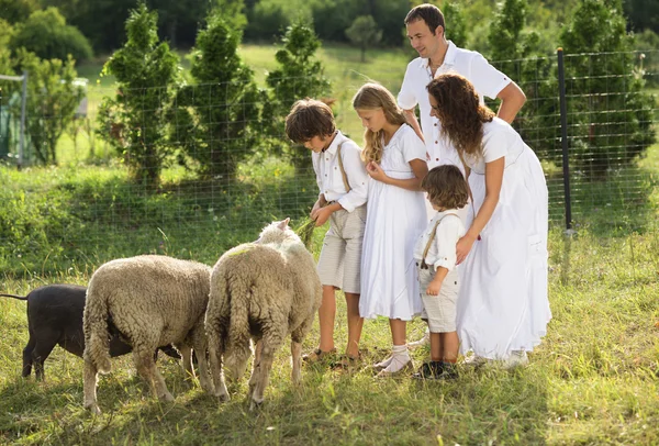 Familie füttert Tiere auf dem Hof — Stockfoto