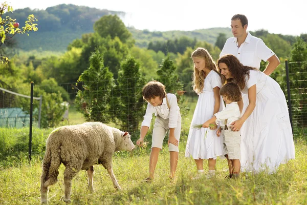 Family feeding animal on the farm — Stock Photo, Image