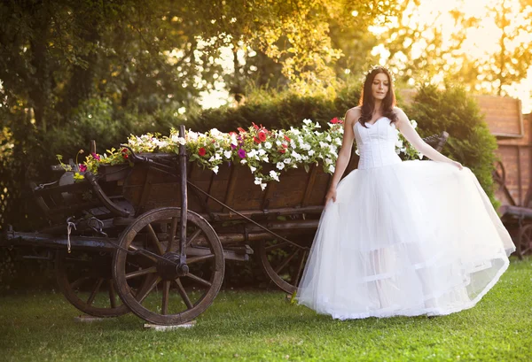 Sposa di campagna — Foto Stock