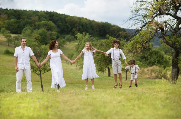 Grote familie is ontspannen in de groene natuur — Stockfoto