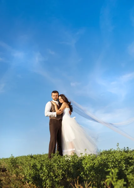 Retrato de pareja recién casada con cielo azul — Foto de Stock