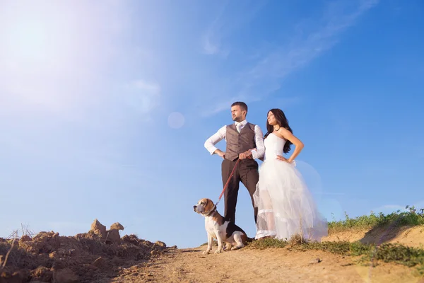 Bride and groom with dog — Stock Photo, Image