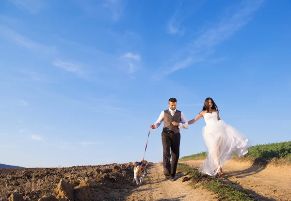 Жених и невеста с собакой — стоковое фото