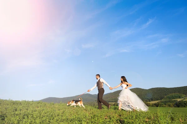 Bride and groom with dog — Stock Photo, Image