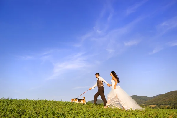Жених и невеста с собакой Лицензионные Стоковые Изображения