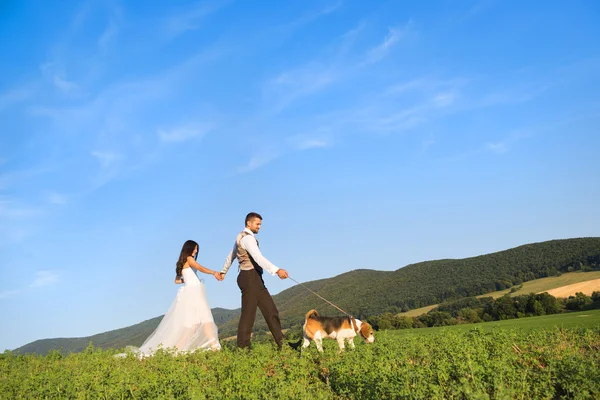 Mariée et marié avec chien — Photo