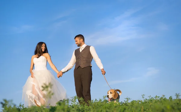 Bruden och brudgummen med hund — Stockfoto