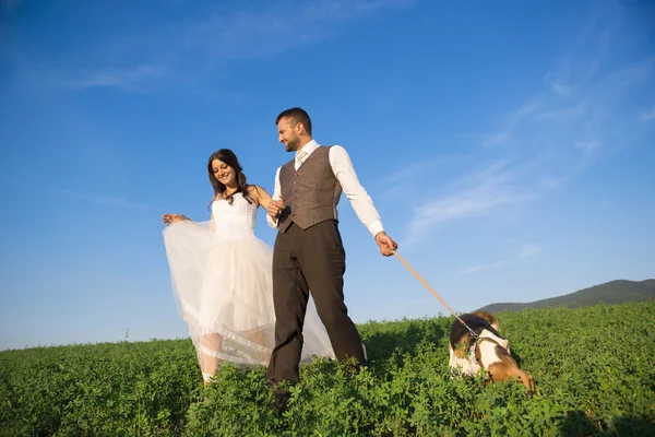 Bride and groom with dog — Stock Photo, Image