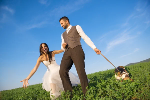 Bruden och brudgummen med hund — Stockfoto