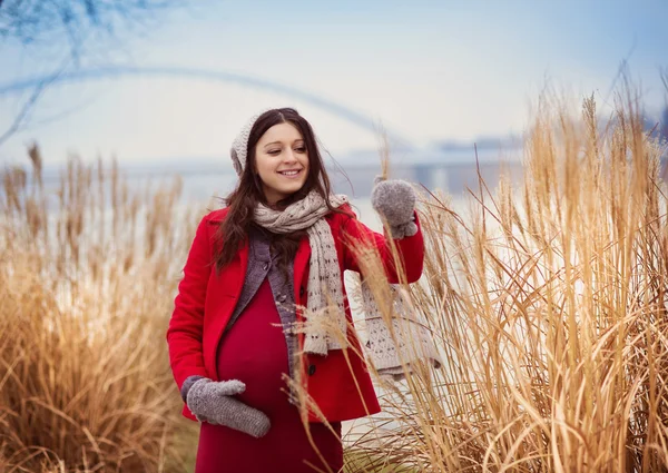 Retrato de inverno de mulher grávida bonita — Fotografia de Stock