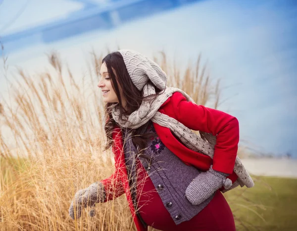 Retrato de invierno de una hermosa mujer embarazada — Foto de Stock