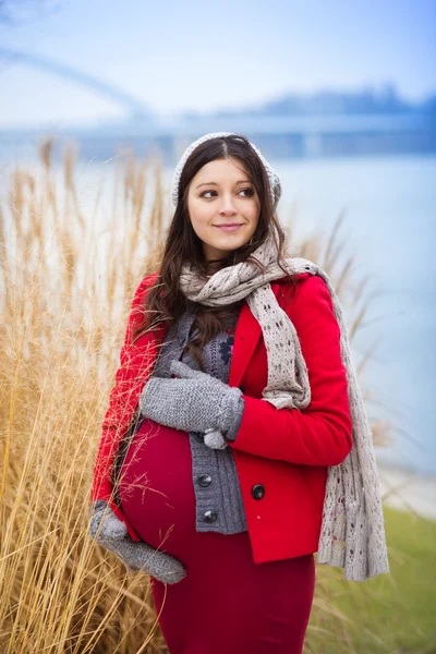 Winter portrait of beautiful pregnant woman — Stock Photo, Image