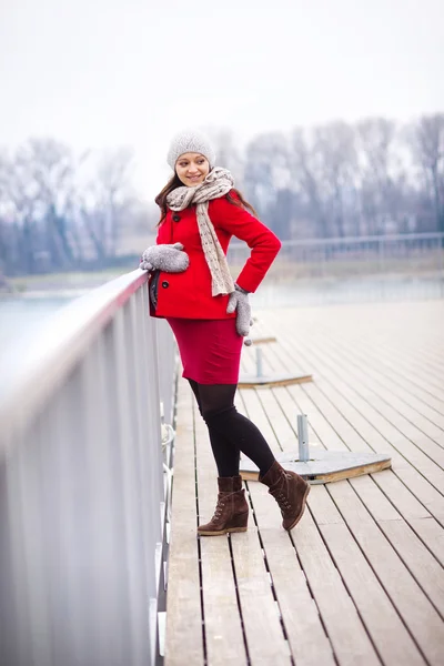 Retrato de inverno de mulher grávida bonita — Fotografia de Stock