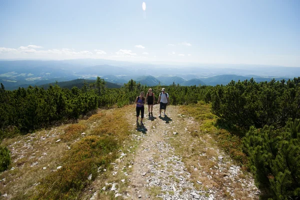 Dağların tepesinde yürüyüşçü — Stok fotoğraf