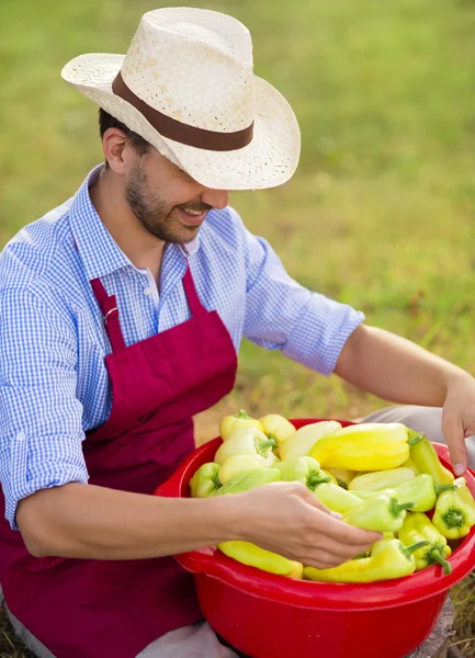 Gärtner mit Paprika — Stockfoto