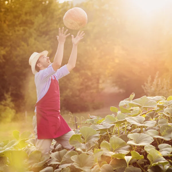 Tuinman met pompoen — Stockfoto