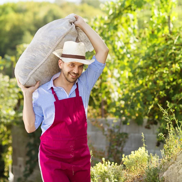 Tuinman — Stockfoto