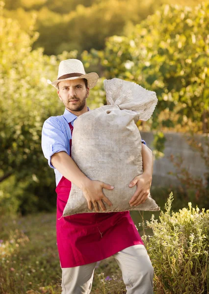 Gardener — Stock Photo, Image