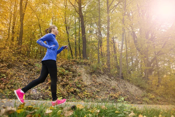 Kobieta aktywna i sportowy runner w jesień natura — Zdjęcie stockowe